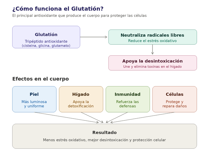 Como funciona glutation
