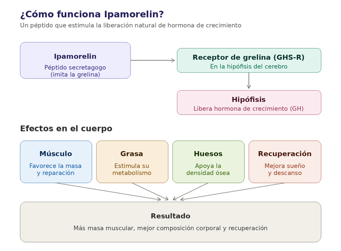 Como funciona ipamorelin