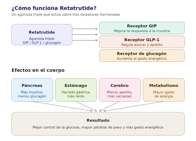 Como funciona retatrutide