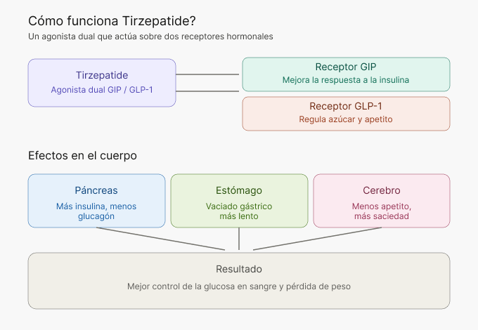 Como funciona tirzepatide