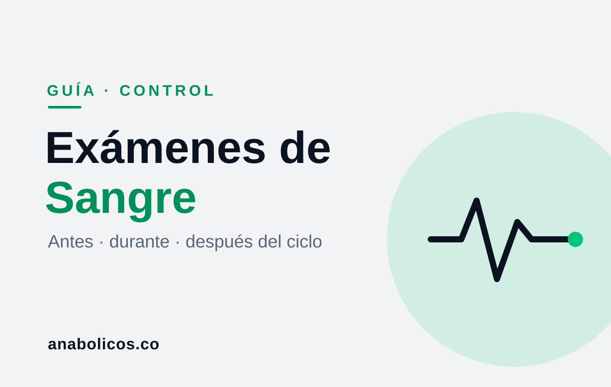 Exámenes de Sangre Antes, Durante y Después de un Ciclo