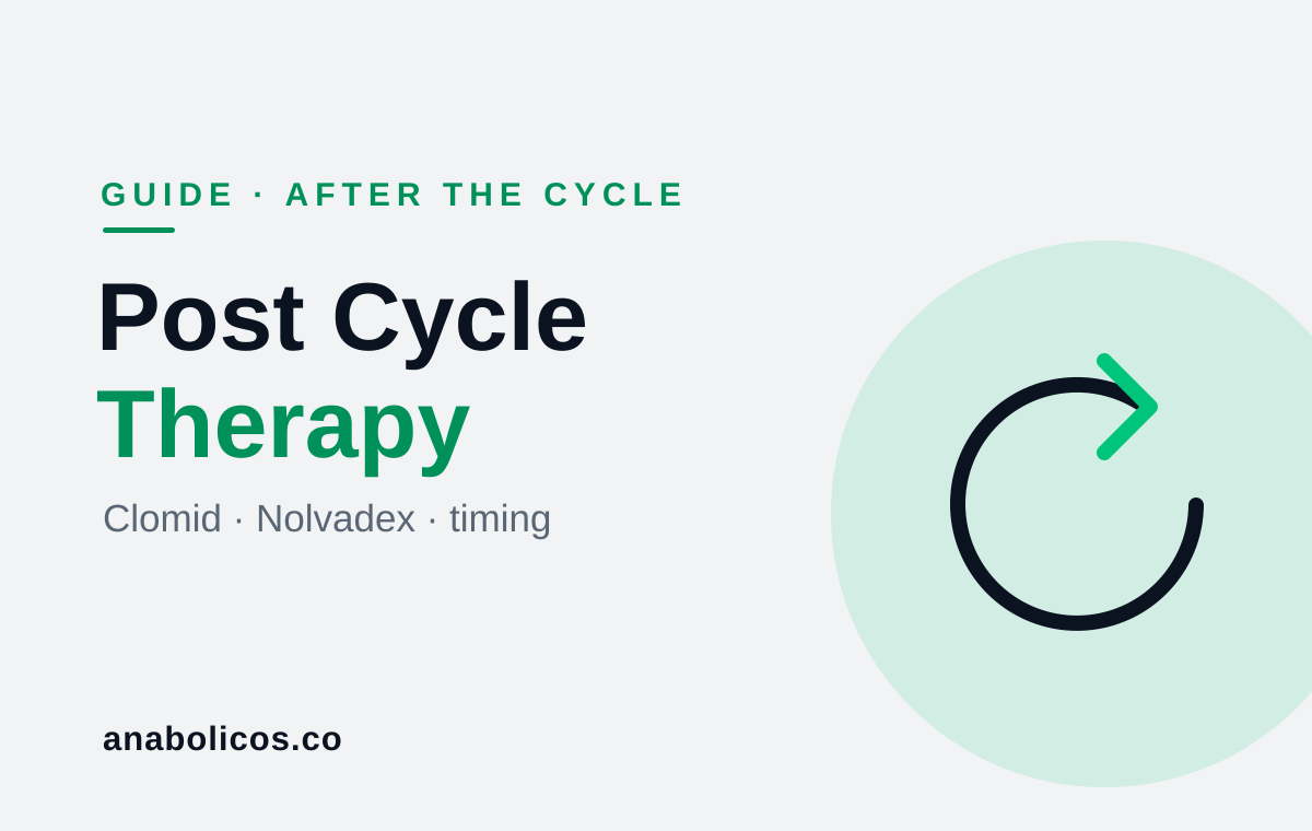 Post Cycle Therapy (PCT): The Complete Guide